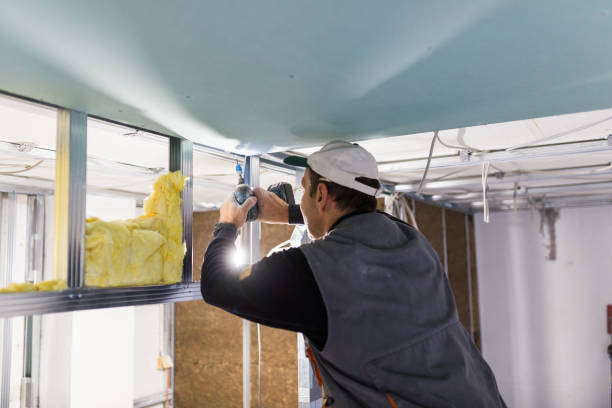 Best Attic Insulation Installation  in Lake Park, GA