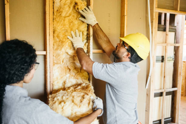 Best Cellulose Insulation  in Lake Park, GA