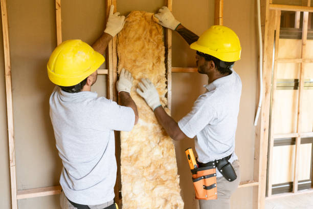 Best Attic Insulation Installation  in Lake Park, GA
