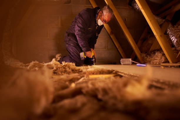 Best Insulation Repair Services  in Lake Park, GA